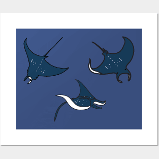 Manta Ray Posters and Art